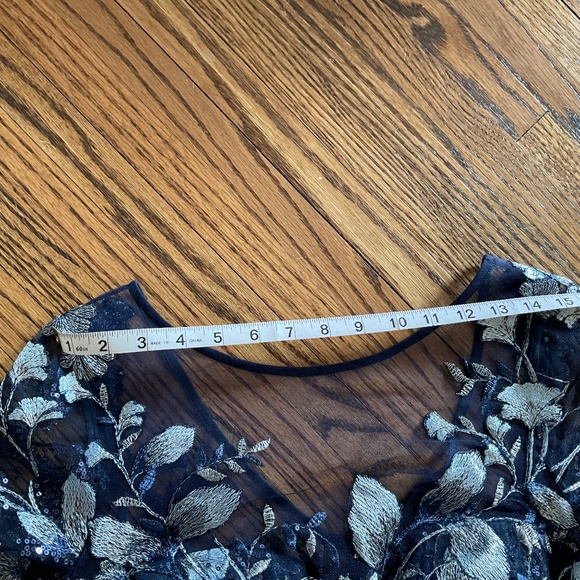 Teri Jon by Rickie Freeman Embroidered Tulle Tea Dress size 10 - Picture 10 of 11